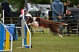 Canis zaterdag