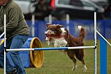 Canis zaterdag