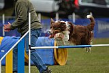 Canis zaterdag