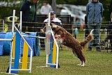 Canis zaterdag