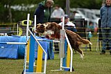 Canis zaterdag