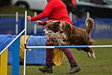 Canis zaterdag