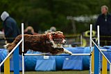 Canis zaterdag