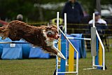 Canis zaterdag