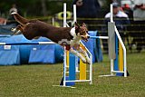 Canis zaterdag