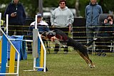 Canis zaterdag