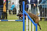 Canis zaterdag