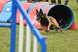Canis zaterdag