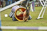 Canis zaterdag