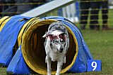 Canis zondag