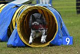 Canis zondag