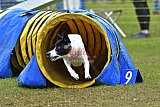 Canis zondag