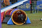 Canis zondag