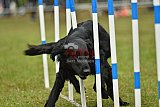 Canis zondag
