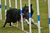 Canis zondag