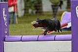 Canis zondag