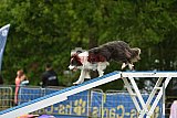 Canis zondag