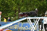 Canis zondag