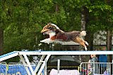 Canis zondag