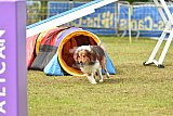 Canis zondag