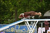 Canis zondag