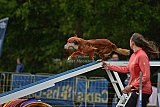 Canis zondag