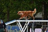 Canis zondag