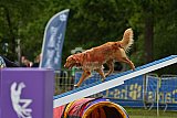 Canis zondag