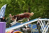 Canis zondag