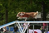 Canis zondag