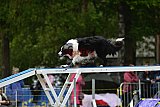 Canis zondag