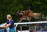 Canis zondag