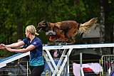 Canis zondag