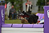 Canis zondag