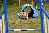 Canis zondag