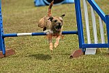 Canis zondag
