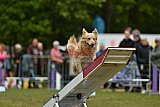 Canis zondag