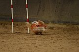 E.O.selectie wedstrijd zaterdag