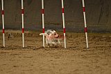 E.O.selectie wedstrijd zaterdag