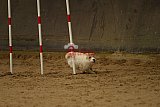 E.O.selectie wedstrijd zaterdag