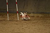 E.O.selectie wedstrijd zaterdag