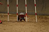 E.O.selectie wedstrijd zaterdag