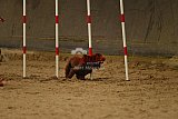 E.O.selectie wedstrijd zaterdag