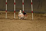 E.O.selectie wedstrijd zaterdag