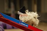 E.O.selectie wedstrijd zaterdag