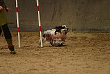 E.O.selectie wedstrijd zaterdag