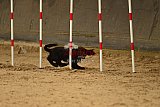E.O.selectie wedstrijd zaterdag