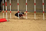 E.O.selectie wedstrijd zaterdag