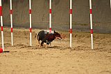 E.O.selectie wedstrijd zaterdag