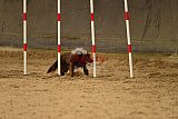 E.O.selectie wedstrijd zaterdag